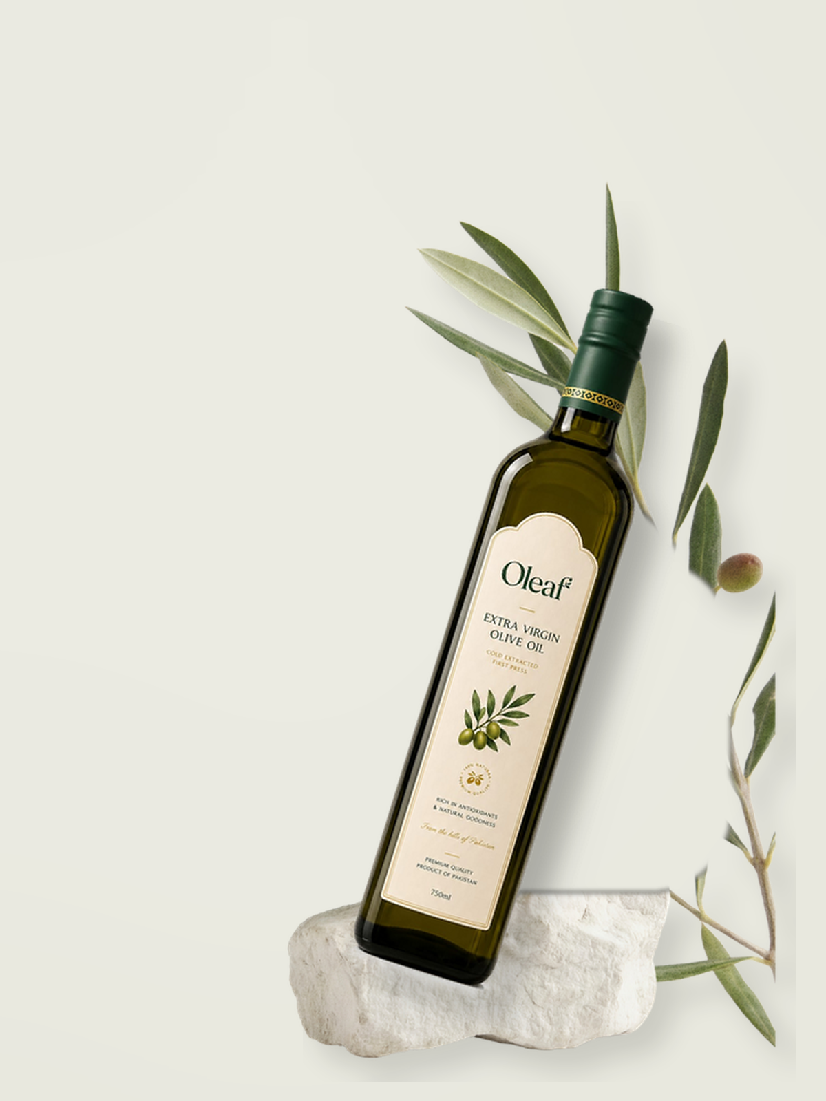 Oleaf bottle with olive branch and stone display